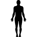 Human body induction